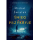 ŚNIEG PRZYKRYJE