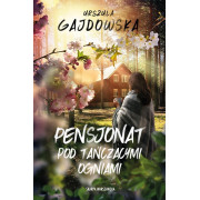 PENSJONAT POD TAŃCZĄCYMI OGNIAMI