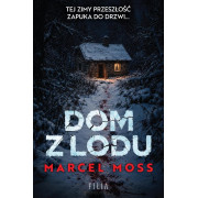 DOM Z LODU